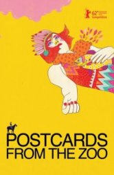 Postcards From The Zoo