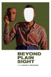 Beyond Plain Sight