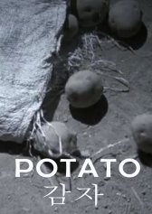 Potato