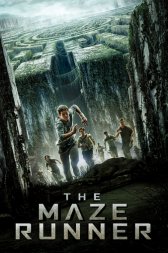 The Maze Runner