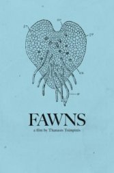 Fawns
