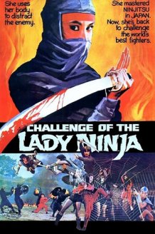 Challenge of the Lady Ninja