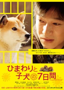 7 Days of Himawari and Her Puppies