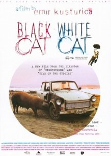 Black Cat, White Cat