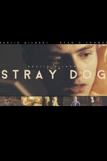 Stray Dog