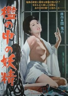 Fairy in a Cage