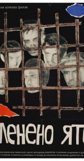 Captive Flock