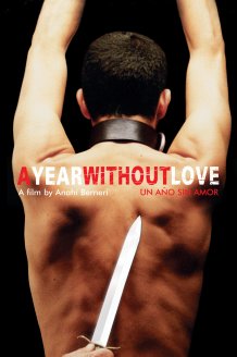 A Year Without Love