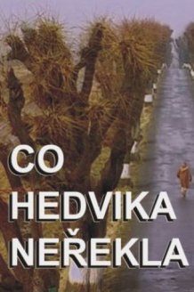 What Hedwig Didn't Tell Us